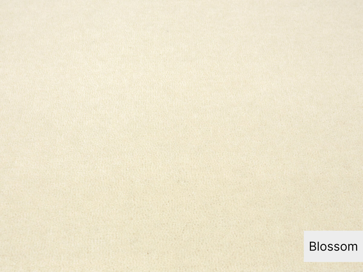 Best Wool Essence Teppichboden | 100% Neuseeland-Schurwolle | 400cm Breite