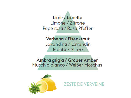 Belebende Zitronenverbene | Zeste de Verveine | Düfte von Maison Berger Paris
