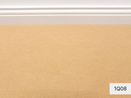 Barista Vorwerk® Teppichboden | Velours | 400 & 500cm Breite & Raummaß