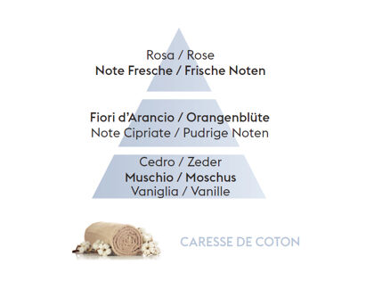Zarte Baumwollblüte | Caresse de Coton | Düfte von Maison Berger Paris