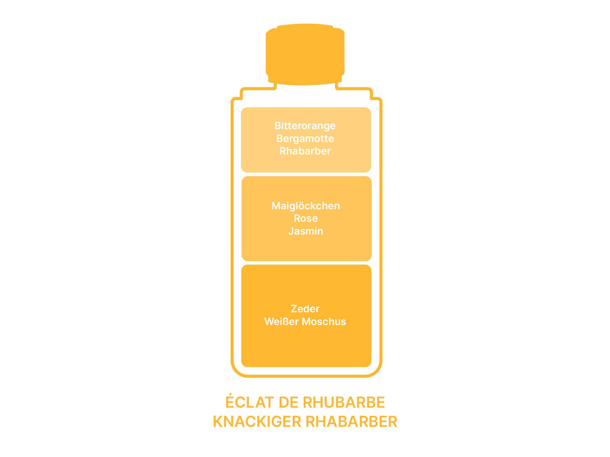 Maison Berger Knackiger Rhabarber | Nachfüllflasche für Parfum Bouquets 6835