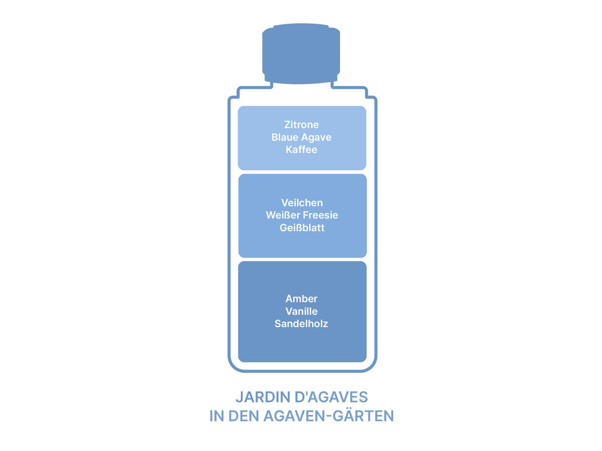Maison Berger  In den Agaven-Gärten | Nachfüllflasche für Parfum Bouquets 6862
