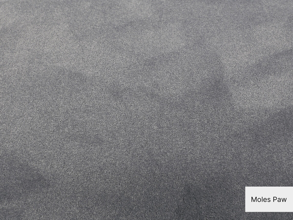 Cannes Softflor Teppichboden | Objekteignung | 400 & 500 cm Breite & Raummaß
