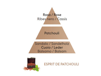 Esprit de Patchouli | Düfte von Maison Berger Paris