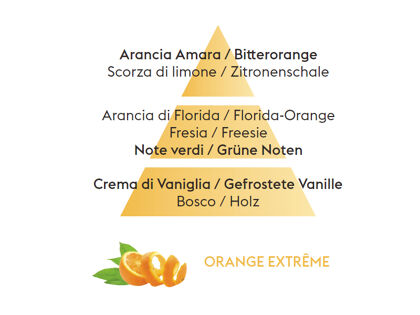 Florida Orange | Orange Extrême | Düfte von Maison Berger Paris