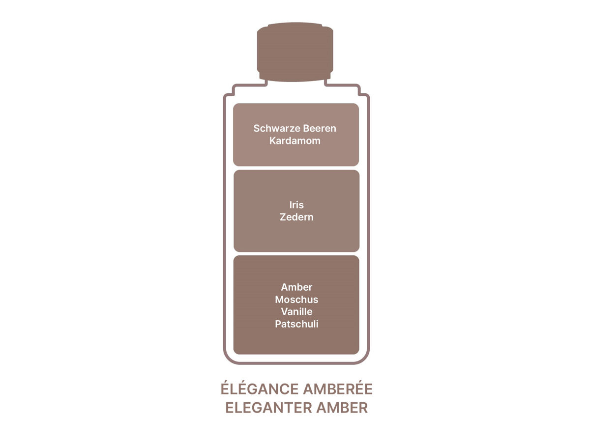 Eleganter Amber | Élégance ambrée | Düfte von Maison Berger Paris