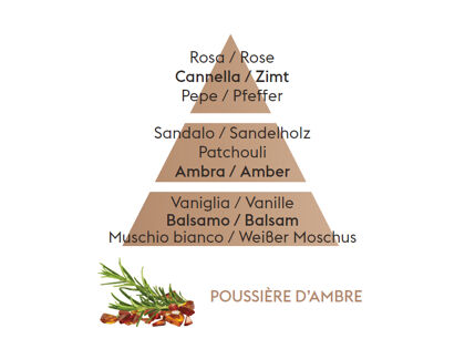Amber | Poussière de Ambre | Düfte von Maison Berger Paris