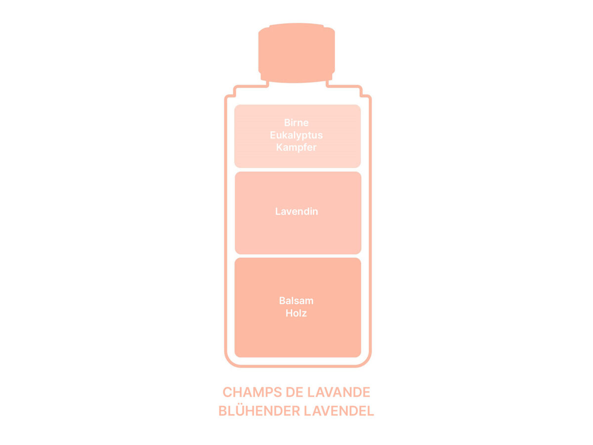 Maison Berger Champs de Lavande* | Nachfüllflasche für Parfum Bouquets