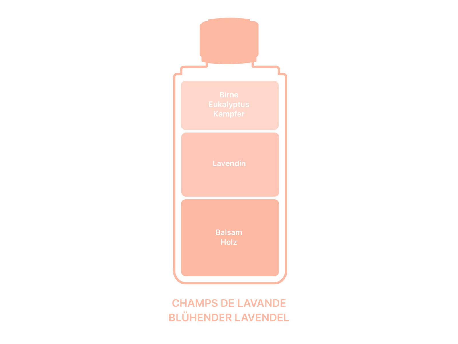 Blühender Lavendel Nachfüllflasche| für Elektrodiffusor von Maison Berger Paris 6494
