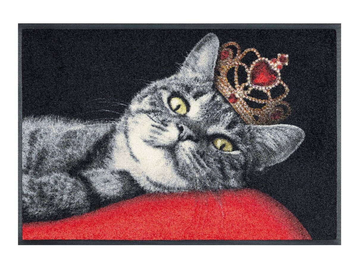 Wash+Dry Fußmatte Royal Cat| 50x75 cm