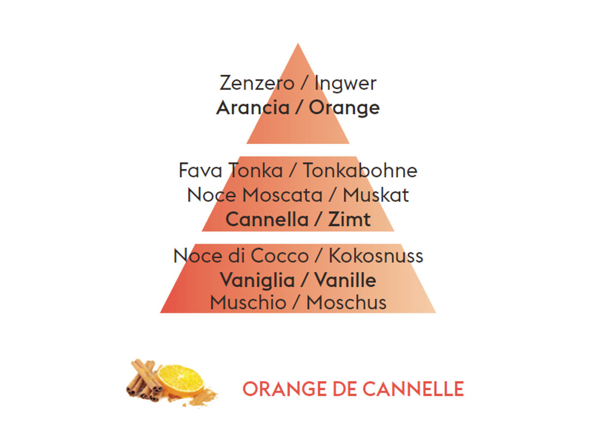 Maison Berger Duftbouquet Claçon |+ 125ml Orange de Cannelle 6002