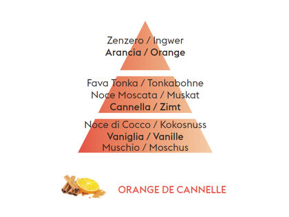 Nachfüller für Autodiffusoren *| Duft Orange de Cannelle 6435