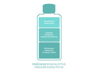Maison Berger Fraîcheur d'Eucalyptus*| Nachfüllflasche für Parfum Bouquets 6238