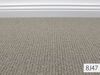 Foris Vorwerk Teppichboden | Schlinge | 400cm Breite & Raummaß