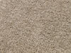 SALE Iseo Sand Paspelteppich