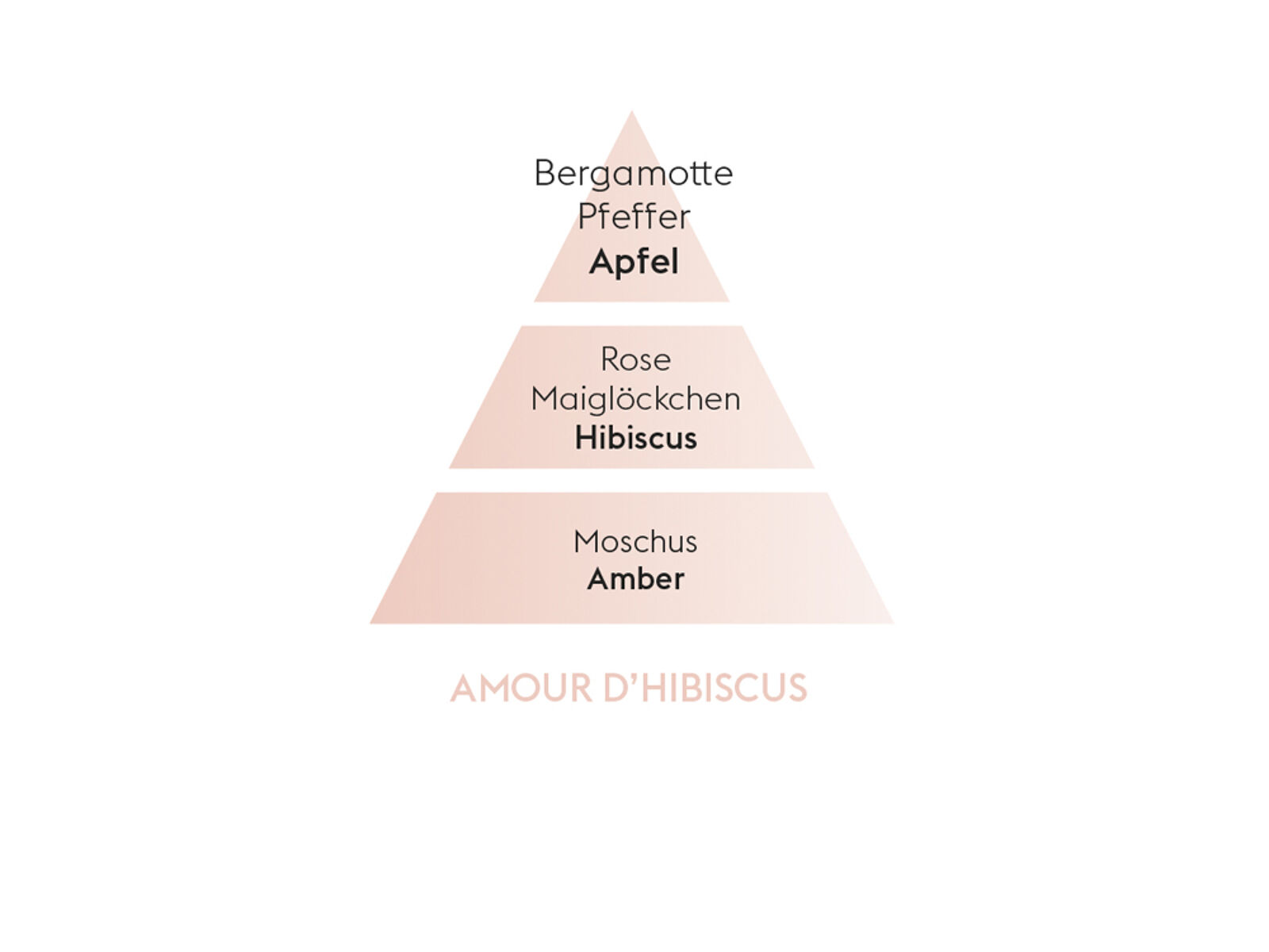 Eindrucksvoller Hibiskus |Amour d'Hibiscus| Düfte von Maison Berger Paris