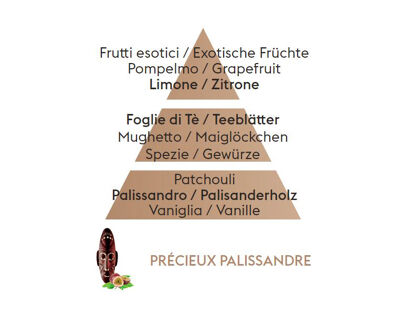 Kostbarer Palisander  | Précieux Palissandre | Düfte von Maison Berger Paris
