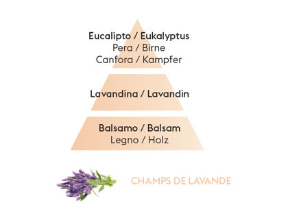 Maison Berger Champs de Lavande | Nachfüllflasche für Parfum Bouquets