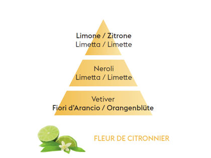 Zitronenblüte | Fleur de Citronnier | Düfte von Maison Berger Paris