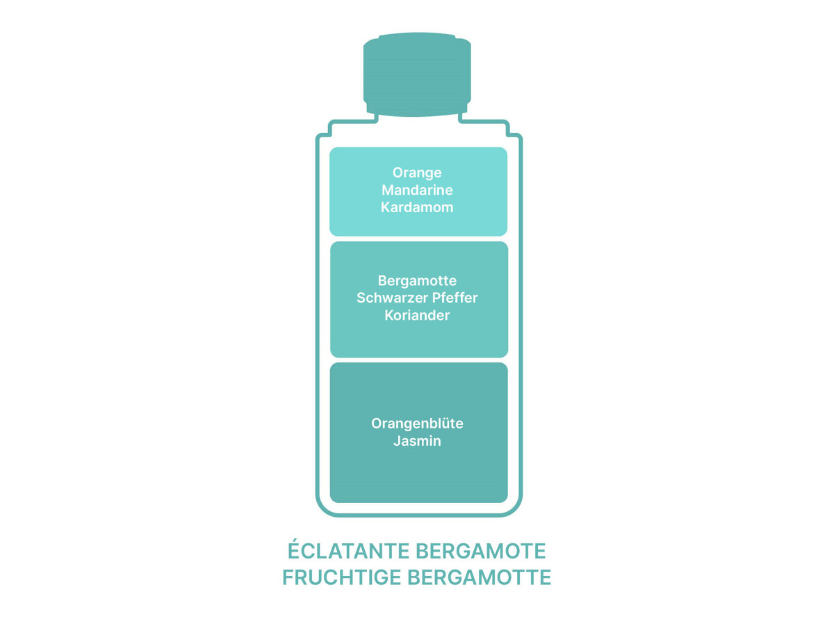 Maison Berger Eclatante Bergamotee | Nachfüllflasche für Parfum Bouquets 6888