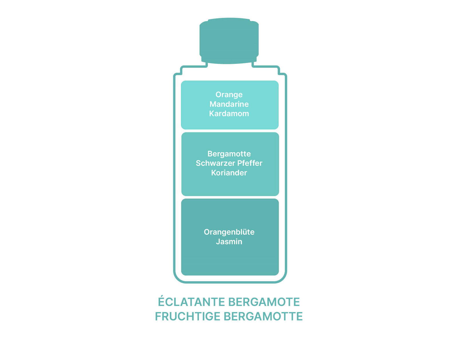 Maison Berger Eclatante Bergamotee | Nachfüllflasche für Parfum Bouquets 6888