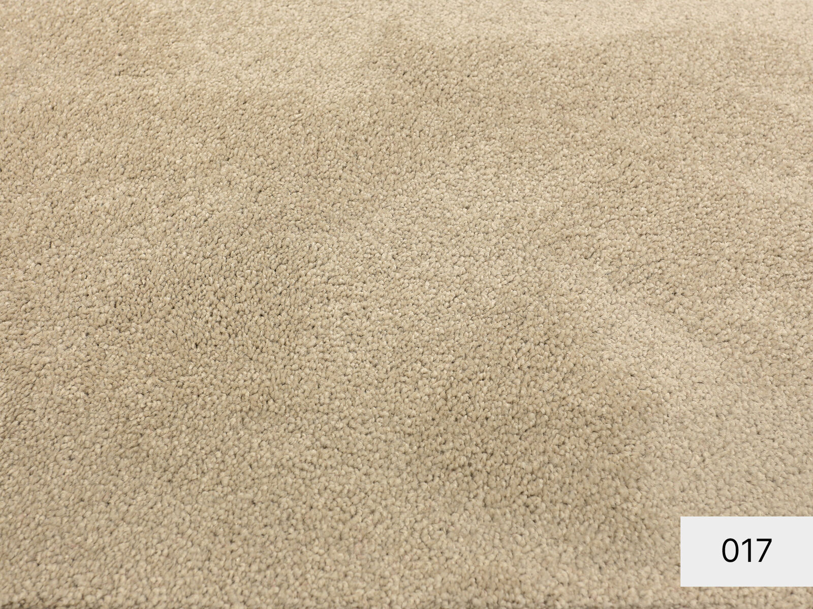 Pegasus Teppichboden | flauschiger Velours | 400,500cm Breite & Raummaß
