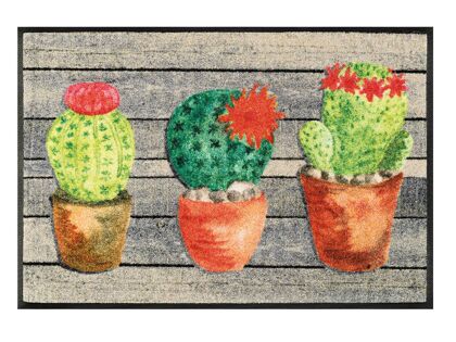 Wash+Dry Fußmatte Jardin de Cactus| 50x75 cm