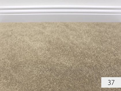 Velvet JOKA Teppichboden | Velours | 400, 500cm Breite & Raummaß