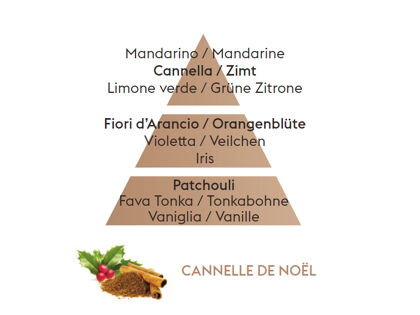 Festlicher Zimt *| Cannelle de Noël | Düfte von Maison Berger Paris