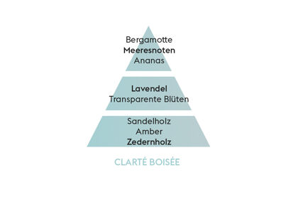 Maison Berger Clarté Boisée| Nachfüllflasche für Parfum Bouquets 6250